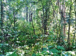 10854 E Susitna River Rd, Trapper Creek, AK 99683