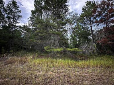 25 Fisher Ter #25, Ocklawaha, FL, 32179