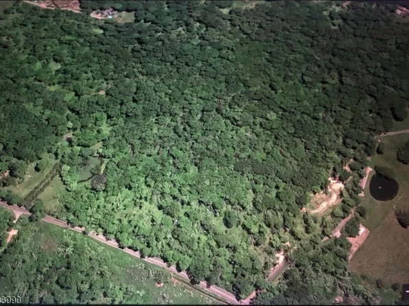 411 Little Brook Rd, Lebanon Twp., NJ 08826