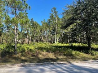 224 Plumosa Dr, Georgetown, FL 32139