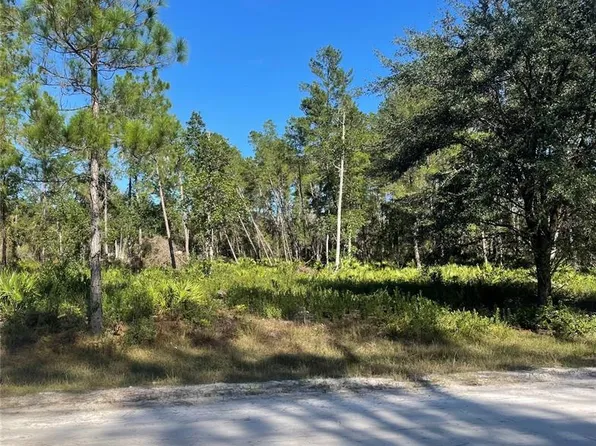 224 Plumosa Dr, Georgetown, FL 32139