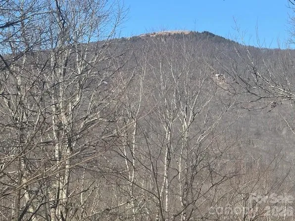 11 Zebulon Ln, Mars Hill, NC 28754