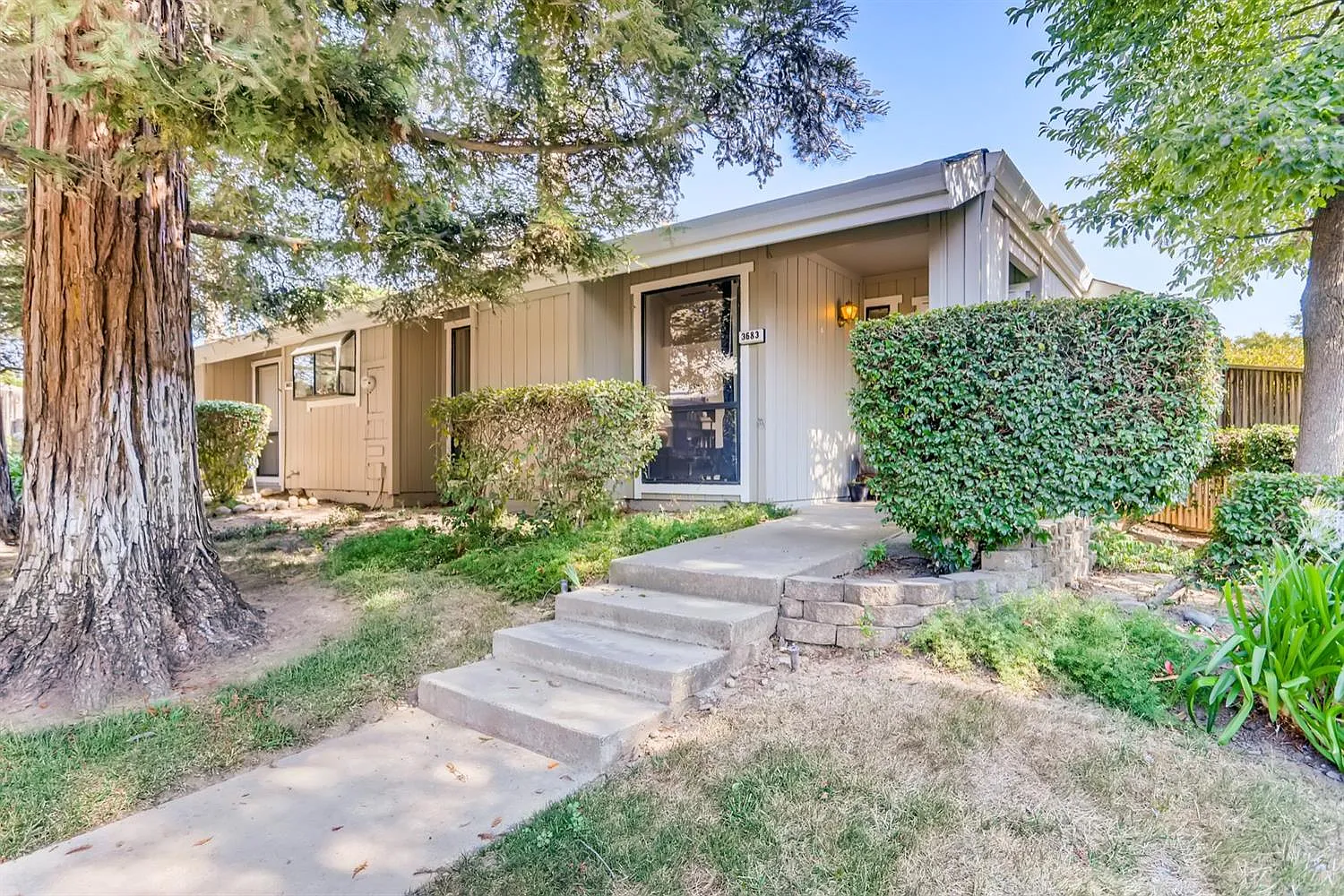 3683 Gold Creek Ln photo 1