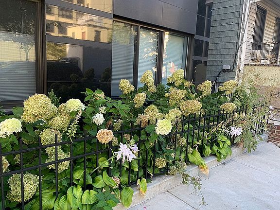 4th image of 3119 37th Ave #6B