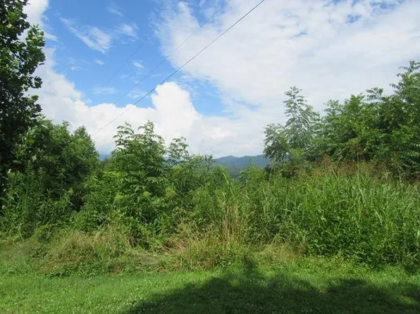 79 Rugrat Ln, Whittier, NC 28789