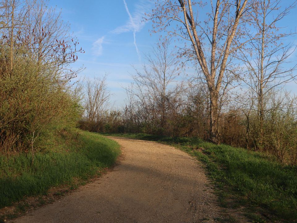 1st image of 121 Avenue