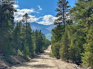 143 Fir Dr, Leadville, CO 80461