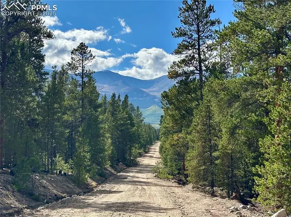 143 Fir Dr, Leadville, CO 80461