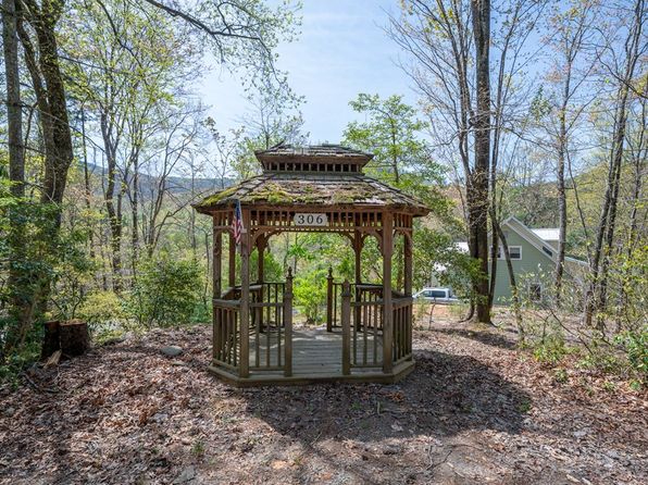 306 Pig Trl, Cherry Log, GA 30522