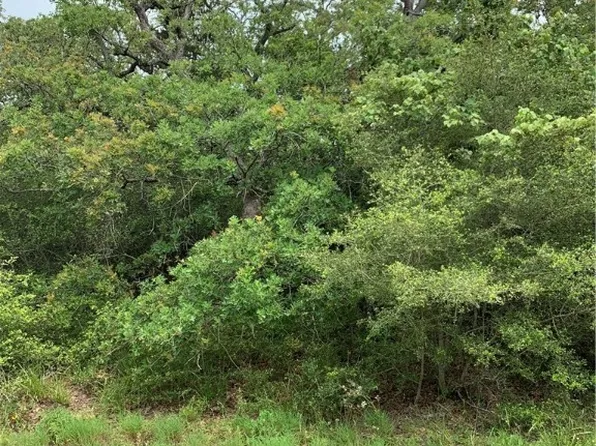 175 Orange Cir, Somerville, TX 77879