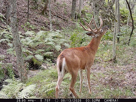3rd image of S3678 County Road N
