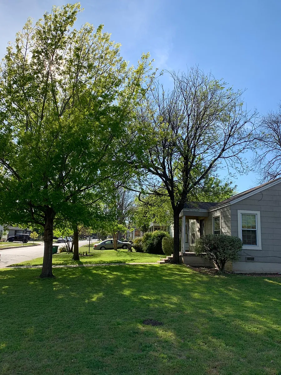 Building Photo - 3700 El Campo Ave