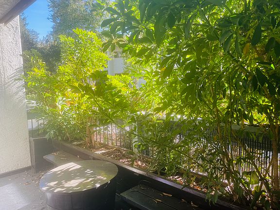 Suite's private patio