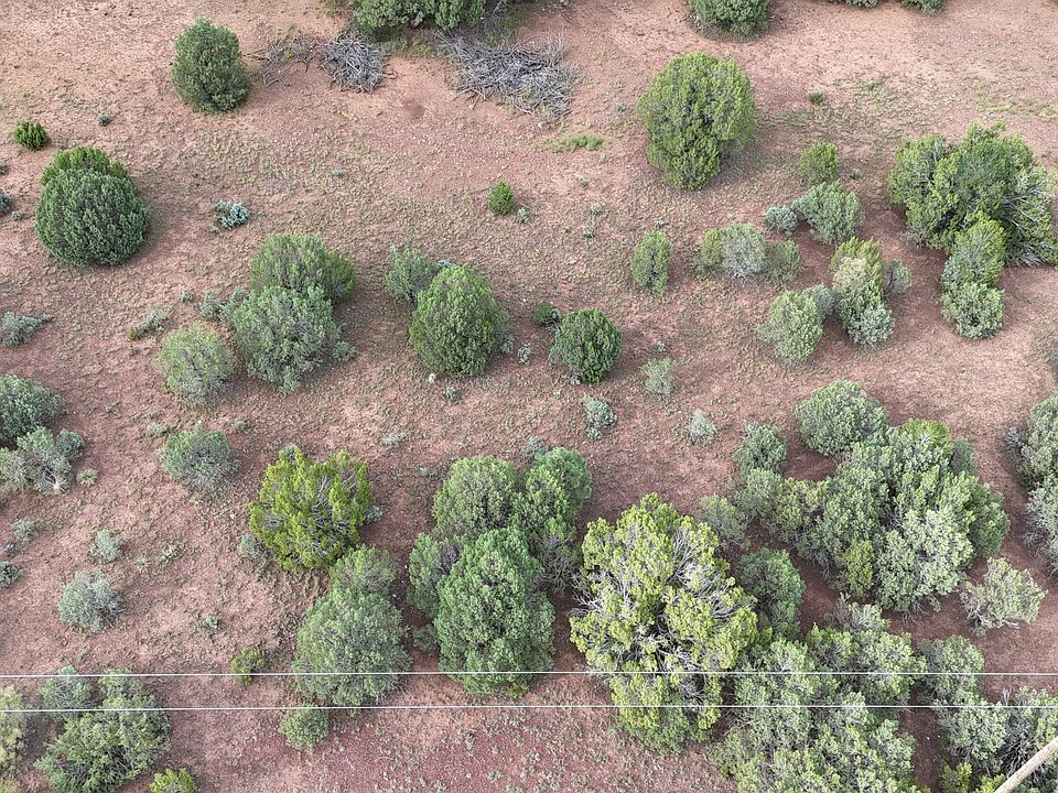 1st image of 21 Co Rd 3183 -- #4