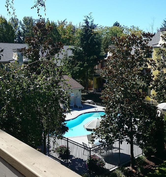 View of pool from deck