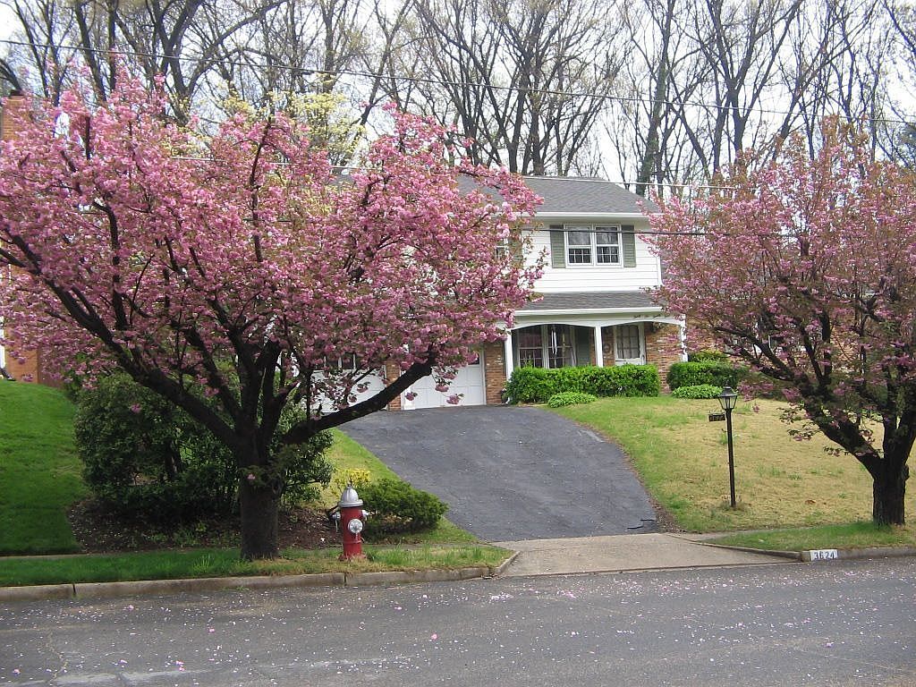 3624 Camelot Dr, Annandale, VA 22003 Zillow