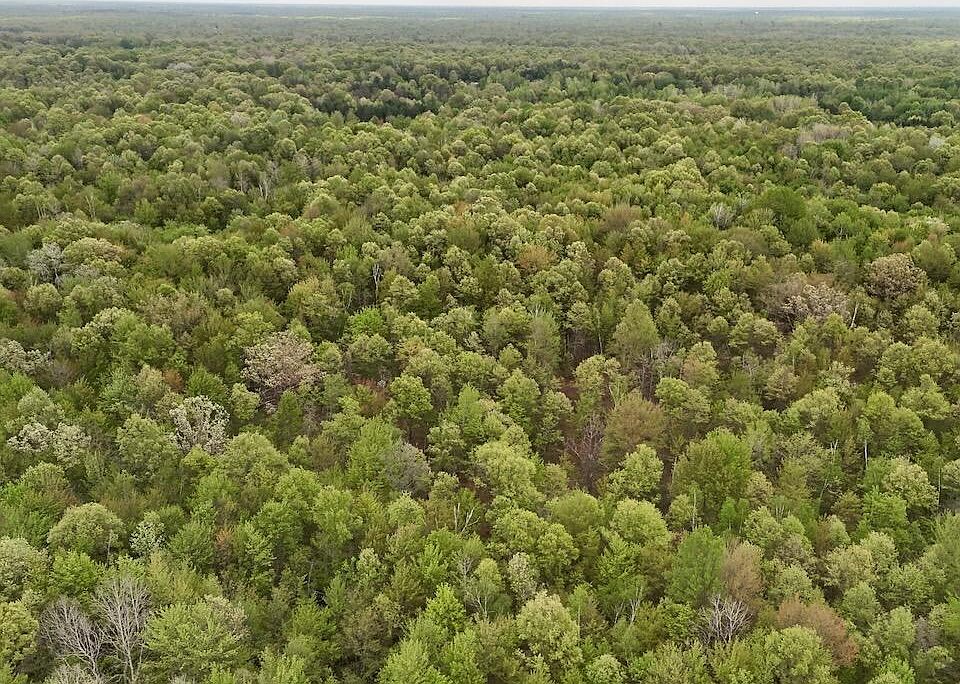 1st image of N Magruder Rd