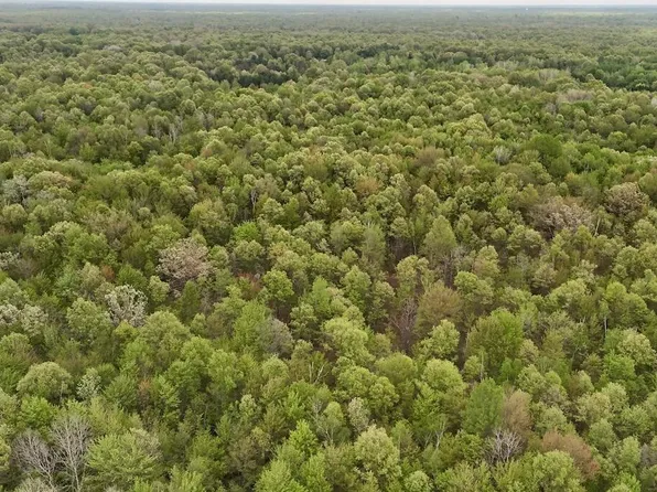 N Magruder Rd, Coleman, MI 48618