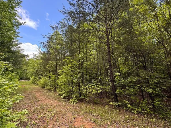 115 Hailee's Dr, Marion, NC 28752