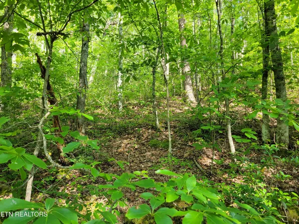 LOT 27 Black Oak Dr, Sevierville, TN 37876
