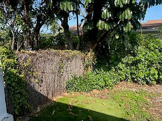 2 bed, 2.0 bath, 2520 sqft, $2,600 — Photo 4