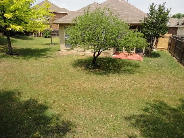 4870 Lodgepole Ln — Photo 17