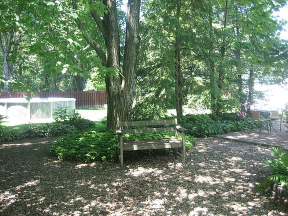 More Backyard