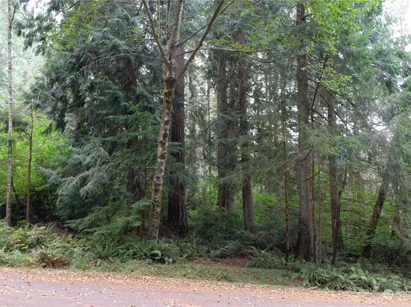 12514 94th Street Ct, Anderson Island, WA 98303