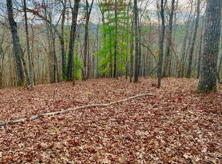 209 N Harris Creek Dr, Ellijay, GA 30540