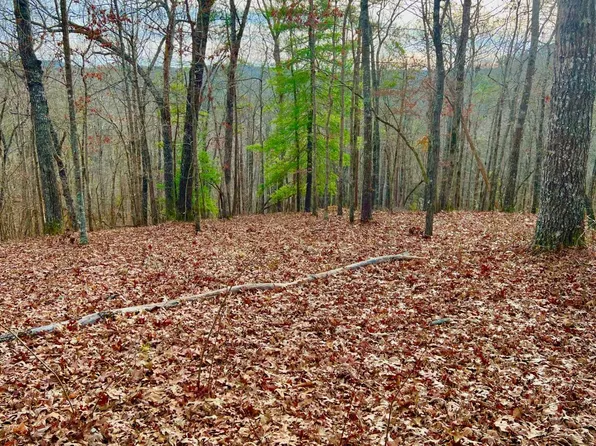 209 N Harris Creek Dr, Ellijay, GA 30540