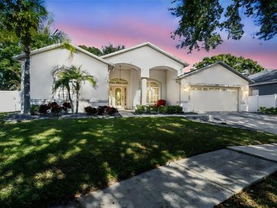 9204 Grand Palm Ct, Riverview, FL, 33578