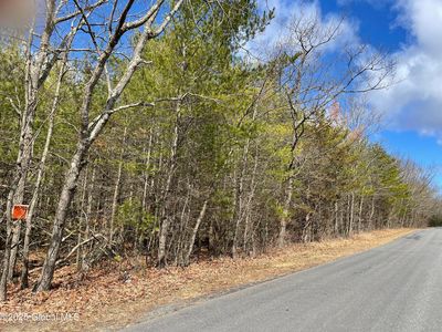 L18.12 Old Kings Road, Hannacroix, NY, 12087