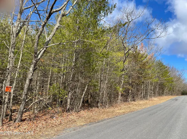 L18.12 Old Kings Road, Hannacroix, NY 12087