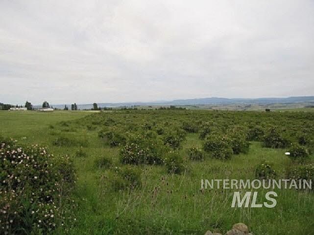 1st image of Tbd Golden Acres Dr