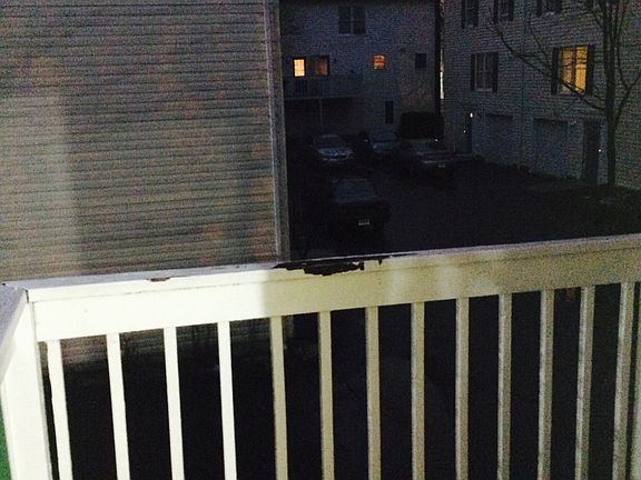 4th image of 505 Howard Ave