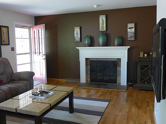 Wood-burning fireplace in living room