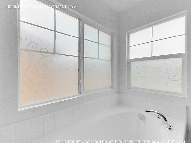 18302 Flowering Plum Way — Photo 36