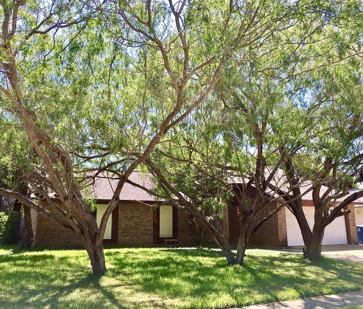123 Seco Drive — Photo 1