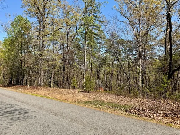 17 Arbor Way, Blue Ridge, GA 30513
