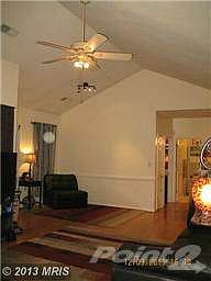 4 Living Room - Vaulted Ceiling