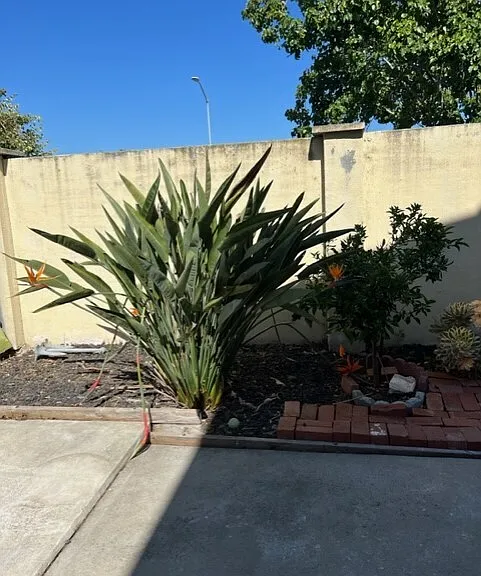 417 Powell Dr — Photo 6