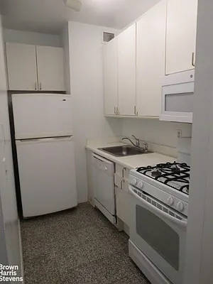 Rented by Brown Harris Stevens | media 15