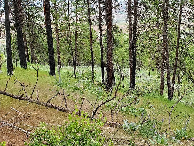 2nd image of 0 570X Tunk Creek Road