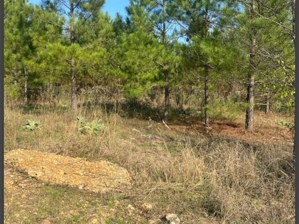 2nd image of 43 Hidden Pines Loop