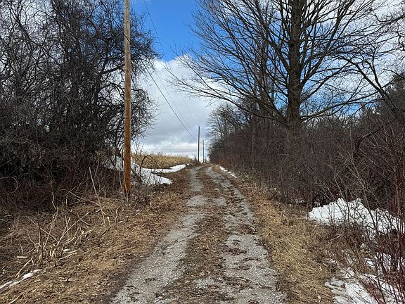 3rd image of 8700 Coronation Rd