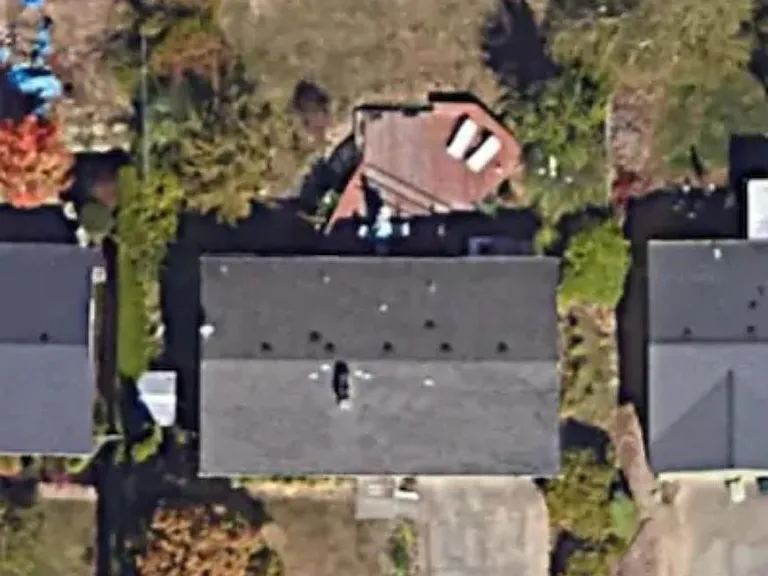 Large fenced backyard