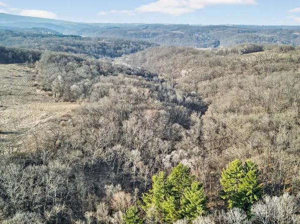 271.18 acres Zwettler/Foster Road #N/A, Arena, WI 53503