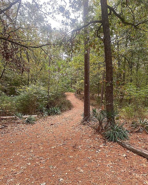 2nd image of 206 County Road 34980