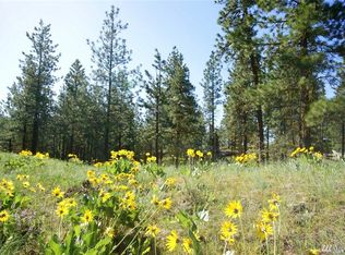 14 Balsam Root Ln LOT 22, Winthrop, WA 98862