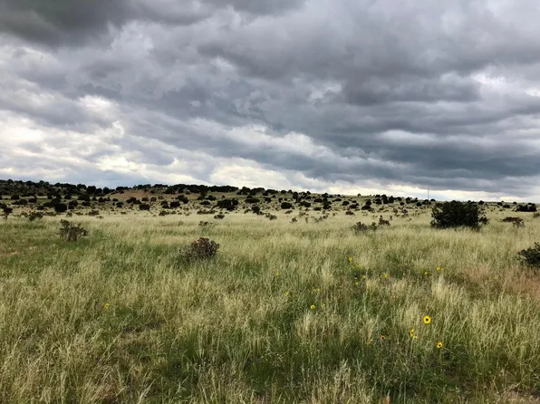 Ridge Rd #117, Walsenburg, CO 81089